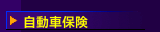 自動車保険